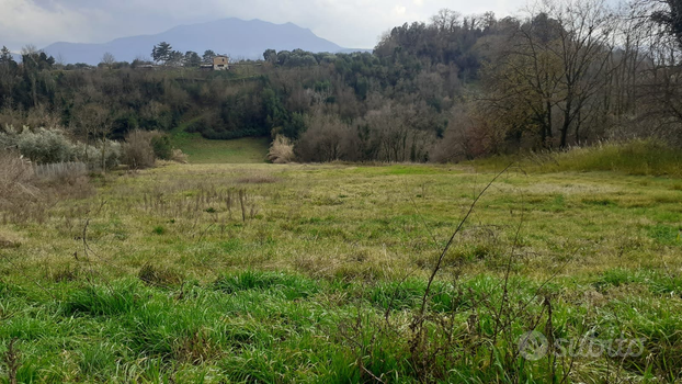 Terreno agricolo