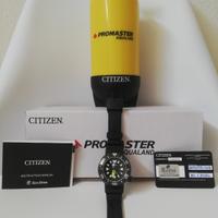 Citizen Promaster BN0175-01E