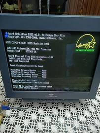 MONITOR CRT SONY TRINITRON E LACIE