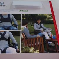 cintura pettorale - cintura pelvica