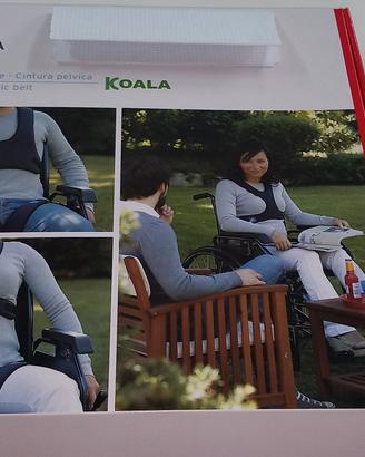 cintura pettorale - cintura pelvica