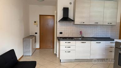 Bilocale con terrazza, Via Taramelli