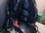 Immagine 5