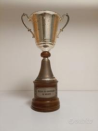Trofeo Cassa di risparmio di Torino