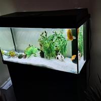 Acquario completo 110 Litri
