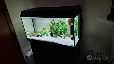 Acquario completo 110 Litri