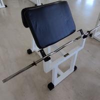 Panca scott technogym