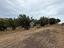 Immagine 8
