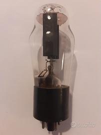 Valvola U50 Marconi black plate