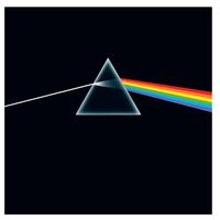 Vinile PINK FLOYD nuovo .