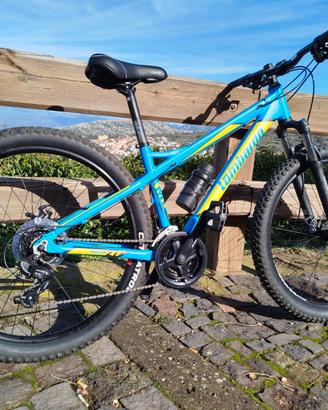 MTB Lombardo Mozia 27,5