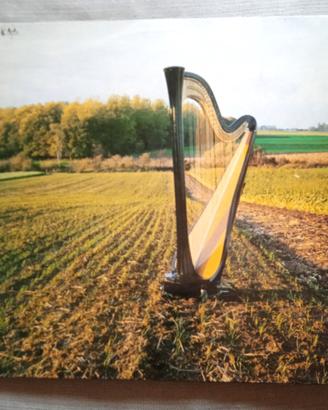 Vinile LP - Wim Mertens – Educes Me - 1987