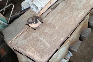 Falciatrice rotante a tamburo