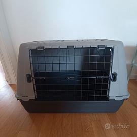 Box trasportino per cane taglia media