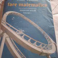Libro Fare matematica