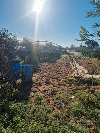 archi di ferro per serre