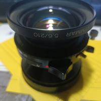 OBIETTIVO  f / 5.6 /210mm APO SYMMAR   (7)