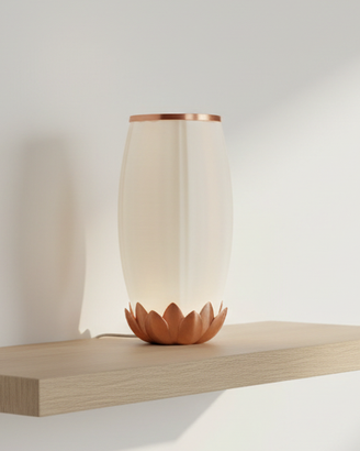 Lampada da Tavolo LED USB,  Design Moderno.  (FL1)