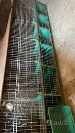 Gabbia per conigli