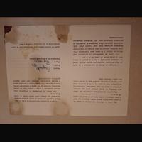 Quadri argento Roberto Polo