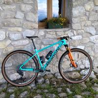 Bianchi methanol cv rs