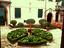 Immagine 4