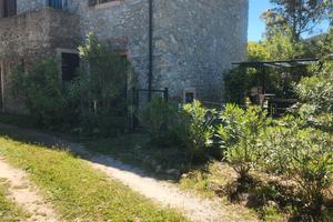 Ferragosto all'Elba