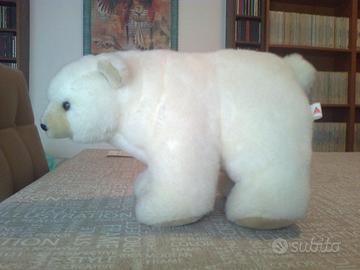 Orso Polare