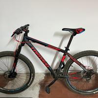 Bicicletta da adulto