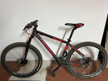 Bicicletta da adulto