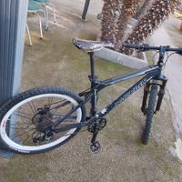 bici mtb