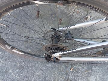 MTB 29 perfetta