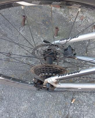 MTB 29 perfetta