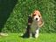 Immagine 3