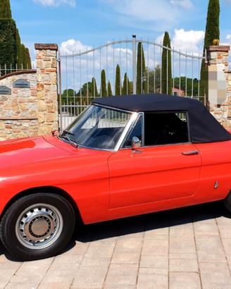Alfa Romeo Spider Duetto osso di seppia 1750
