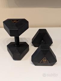 Coppia Manubri Pesi Palestra 15 kg