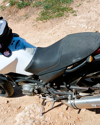 Ducati monster 600 dark