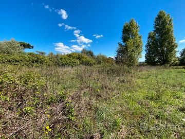 Terreno edificabile a Nettuno (Rm)
