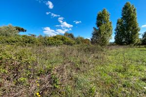 Terreno edificabile a Nettuno (Rm)