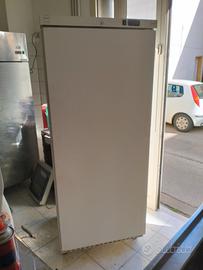 frigorifero positivo 