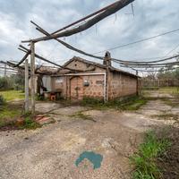 Palestrina: rustico civile abitazione