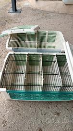 Trasportini S.t.A. Soluzioni