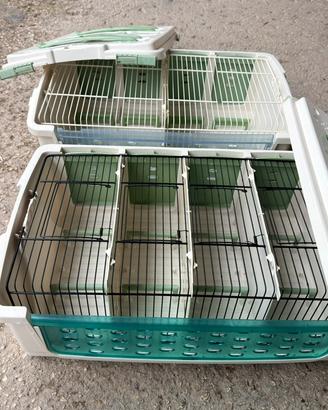 Trasportini S.t.A. Soluzioni