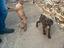 Immagine 2