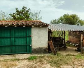 Terreno agricolo Orte Loc. Caldare (A1 - E45)