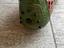 Immagine 4