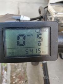Fat- bike pedalata assistita