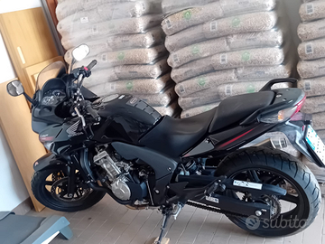 Honda CBF 600