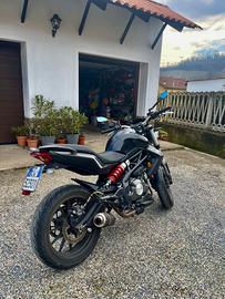 2016 Benelli 302bn