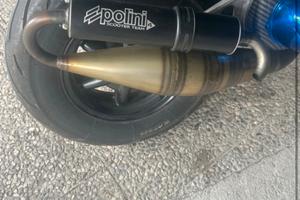 marmitta polini scooter team 4 130 (trattabi